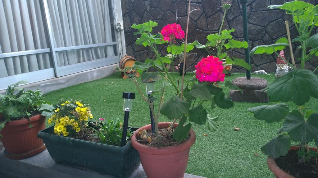 Bed & Breakfast Blumen Haus 2*