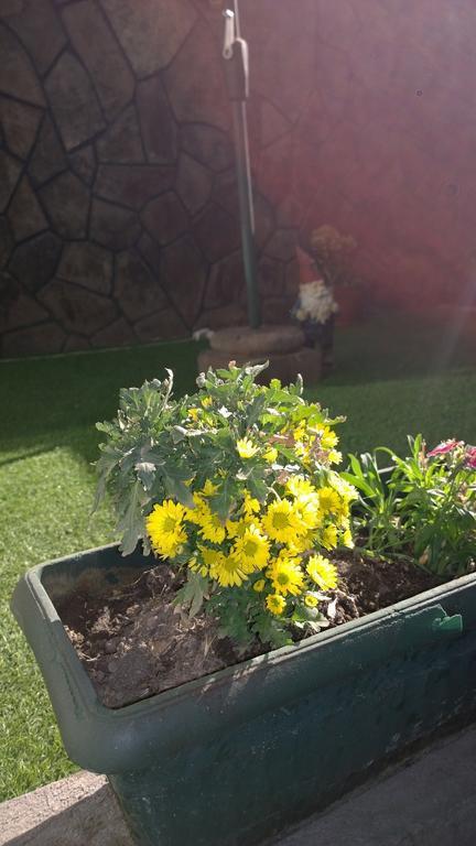 Bed & Breakfast Blumen Haus Santiago del Cile