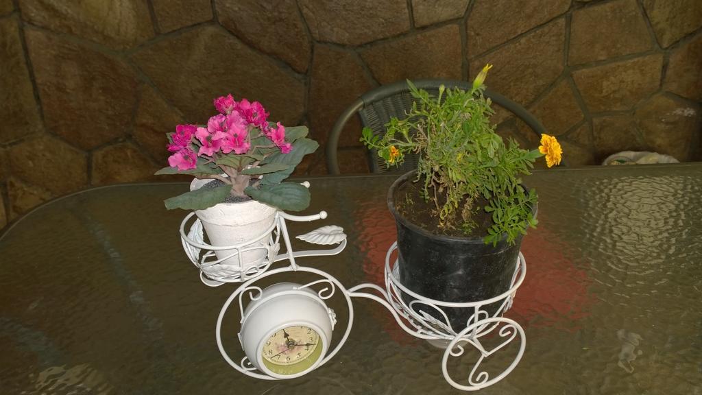 Blumen Haus 2* Santiago del Cile